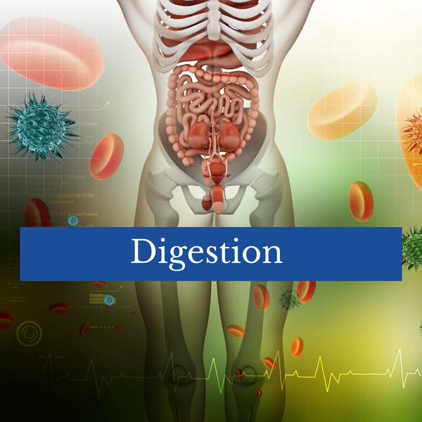 Digestion - Are you having problems?